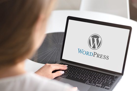 About Wordpress and Wordpress plugins