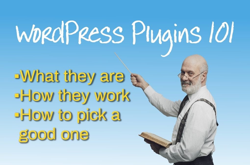 WordPress Plugins 101